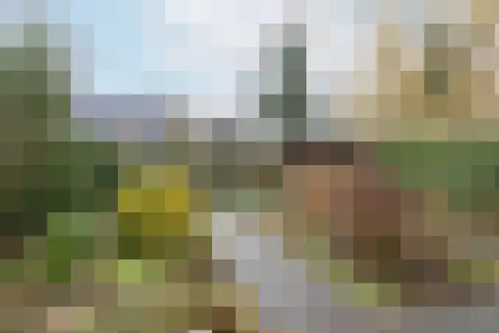 Zeisterweg 38 b Odijk thumbnail 39
