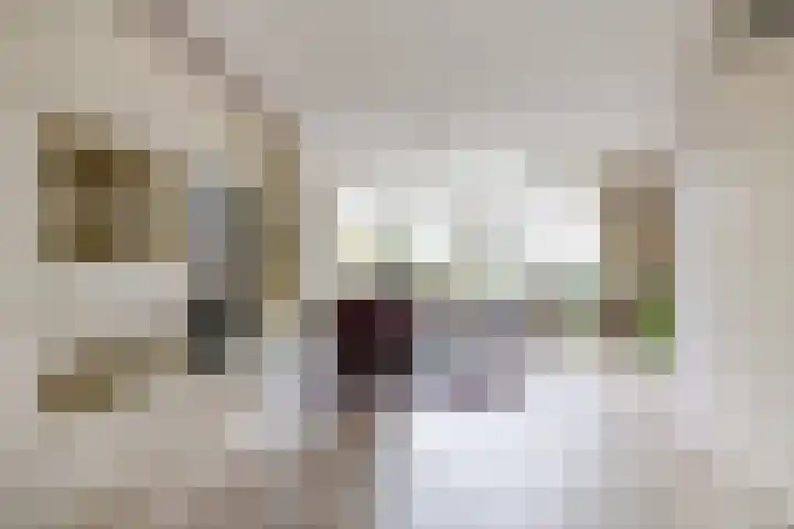 Zeisterweg 38 b Odijk thumbnail 4