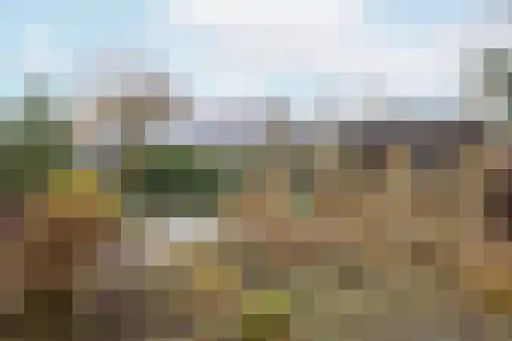 Zeisterweg 38 b Odijk thumbnail 40