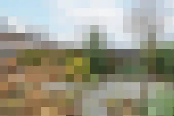 Zeisterweg 38 b Odijk thumbnail 41
