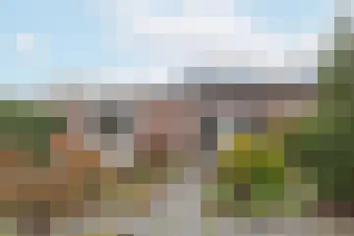 Zeisterweg 38 b Odijk thumbnail 42