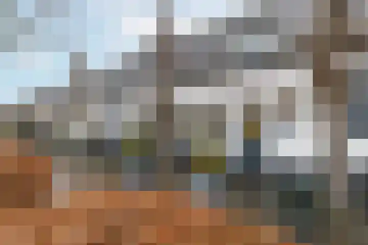 Zeisterweg 38 b Odijk thumbnail 51