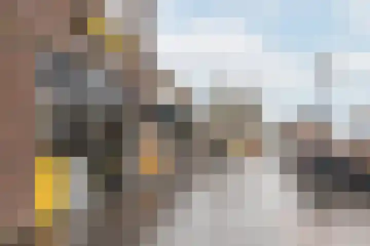 Zeisterweg 38 b Odijk thumbnail 52