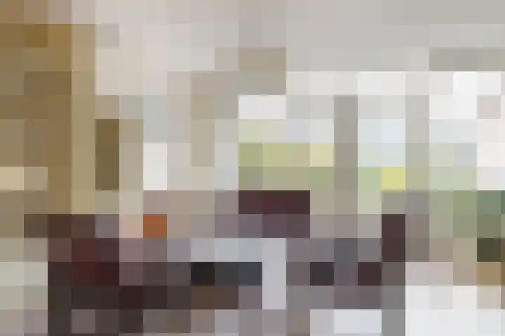 Zeisterweg 38 b Odijk thumbnail 6