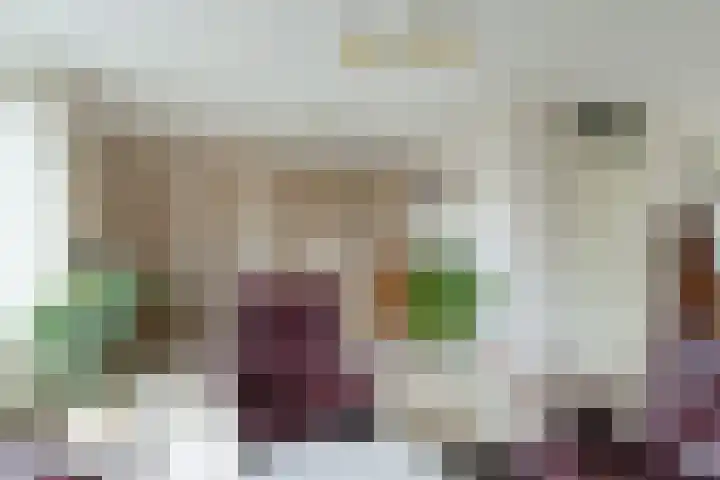 Zeisterweg 38 b Odijk thumbnail 7