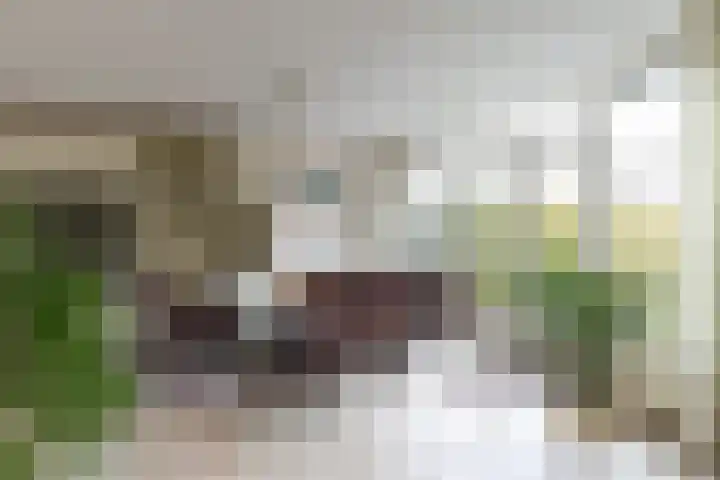 Zeisterweg 38 b Odijk thumbnail 9