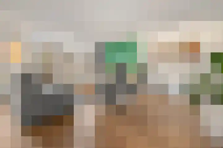 Zeisterweg 39 Odijk thumbnail 10