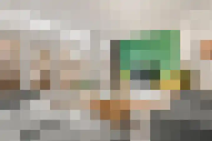 Zeisterweg 39 Odijk thumbnail 12