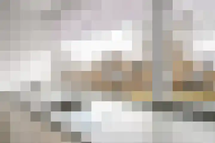 Zeisterweg 39 Odijk thumbnail 15