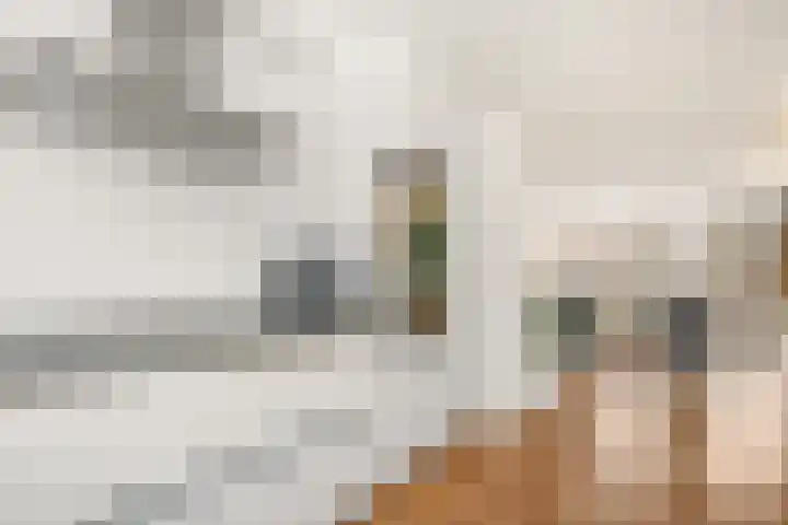 Zeisterweg 39 Odijk thumbnail 16