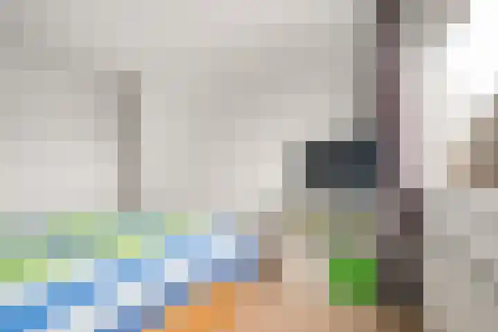 Zeisterweg 39 Odijk thumbnail 21
