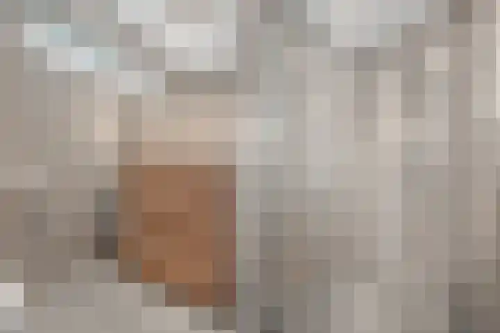 Zeisterweg 39 Odijk thumbnail 25