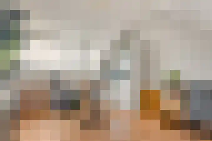 Zeisterweg 39 Odijk thumbnail 28