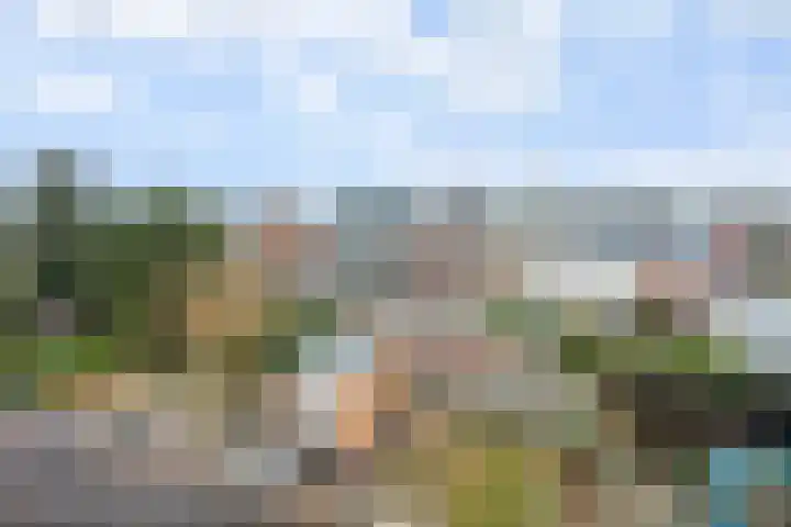 Zeisterweg 39 Odijk thumbnail 29