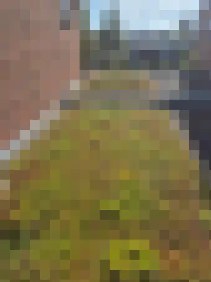 Zeisterweg 39 Odijk thumbnail 30