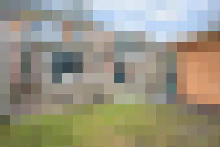 Zeisterweg 39 Odijk thumbnail 32
