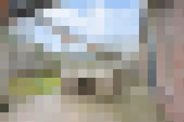 Zeisterweg 39 Odijk thumbnail 33