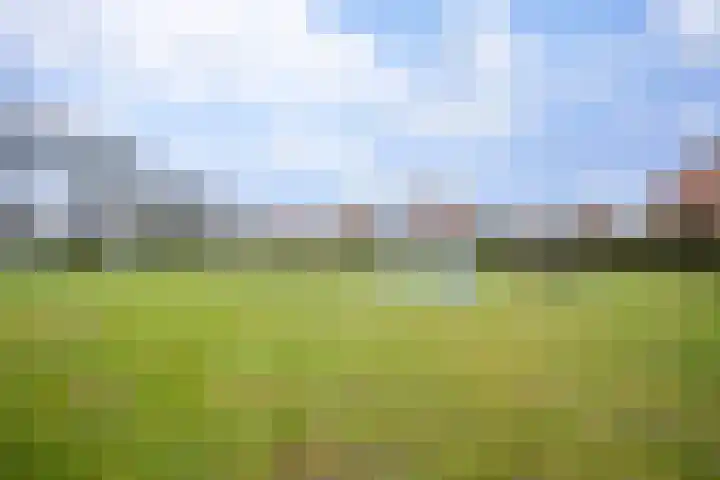 Zeisterweg 39 Odijk thumbnail 37