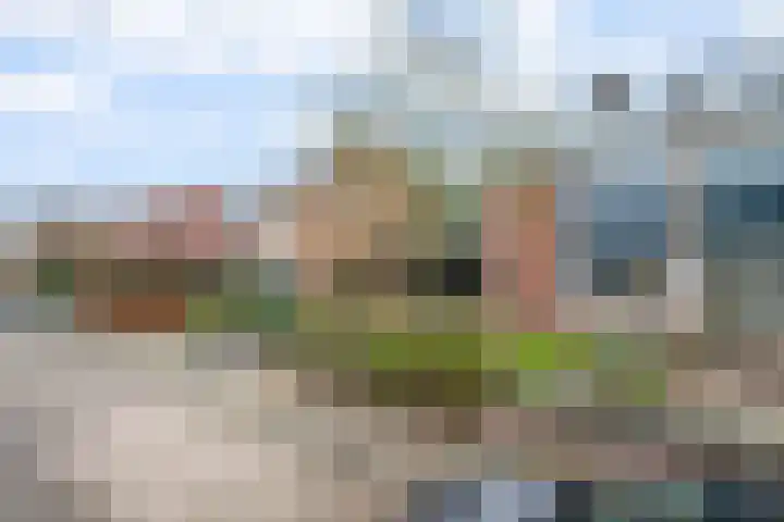 Zeisterweg 39 Odijk thumbnail 6