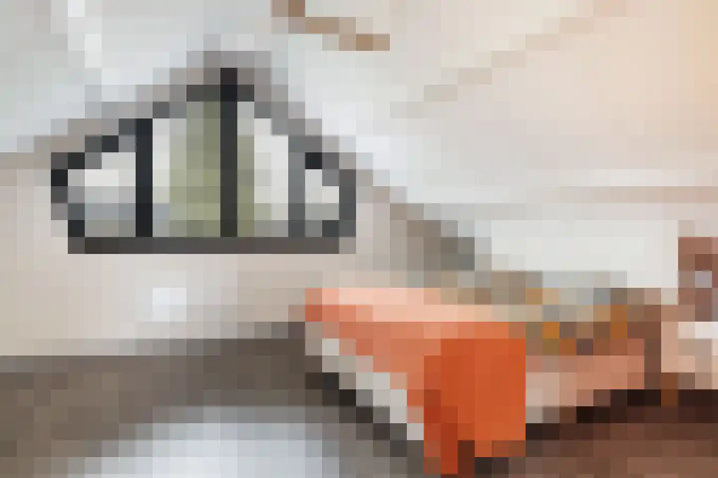 Zeisterweg 4 Woudenberg thumbnail 32