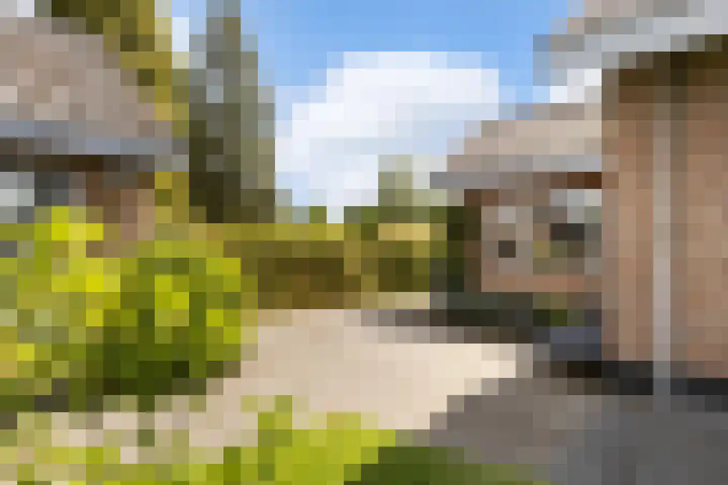 Zeisterweg 4 Woudenberg thumbnail 38