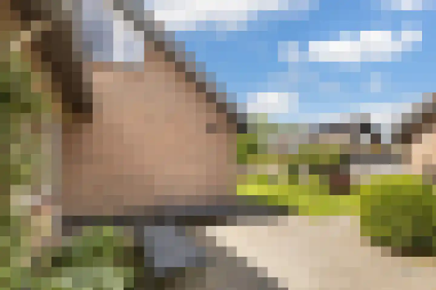 Zeisterweg 4 Woudenberg thumbnail 41