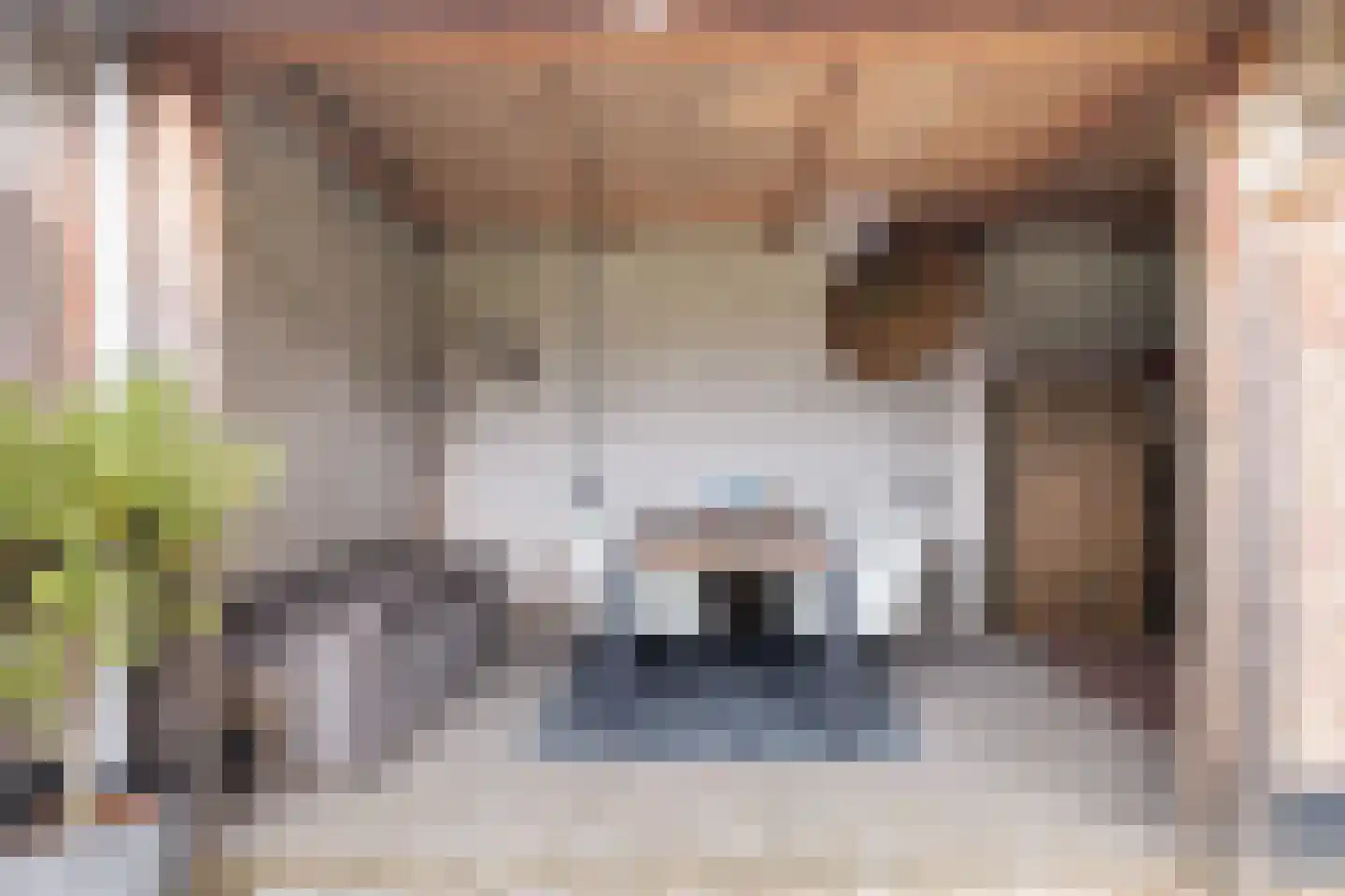 Zeisterweg 4 Woudenberg thumbnail 42