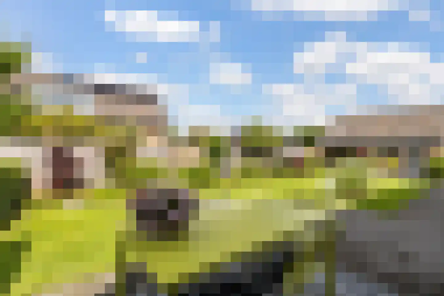 Zeisterweg 4 Woudenberg thumbnail 45
