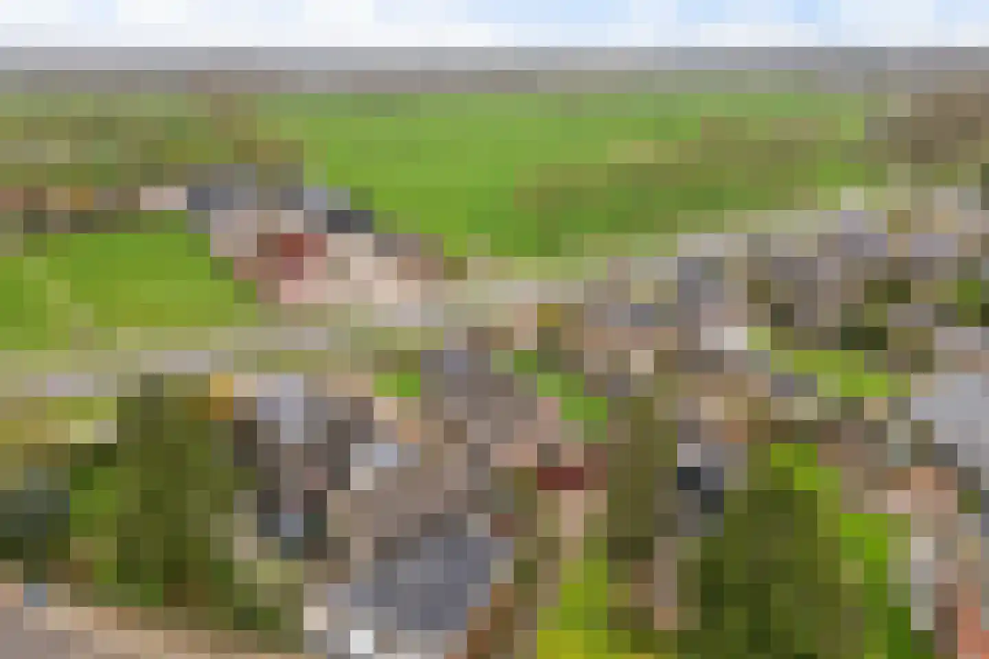 Zeisterweg 4 Woudenberg thumbnail 48
