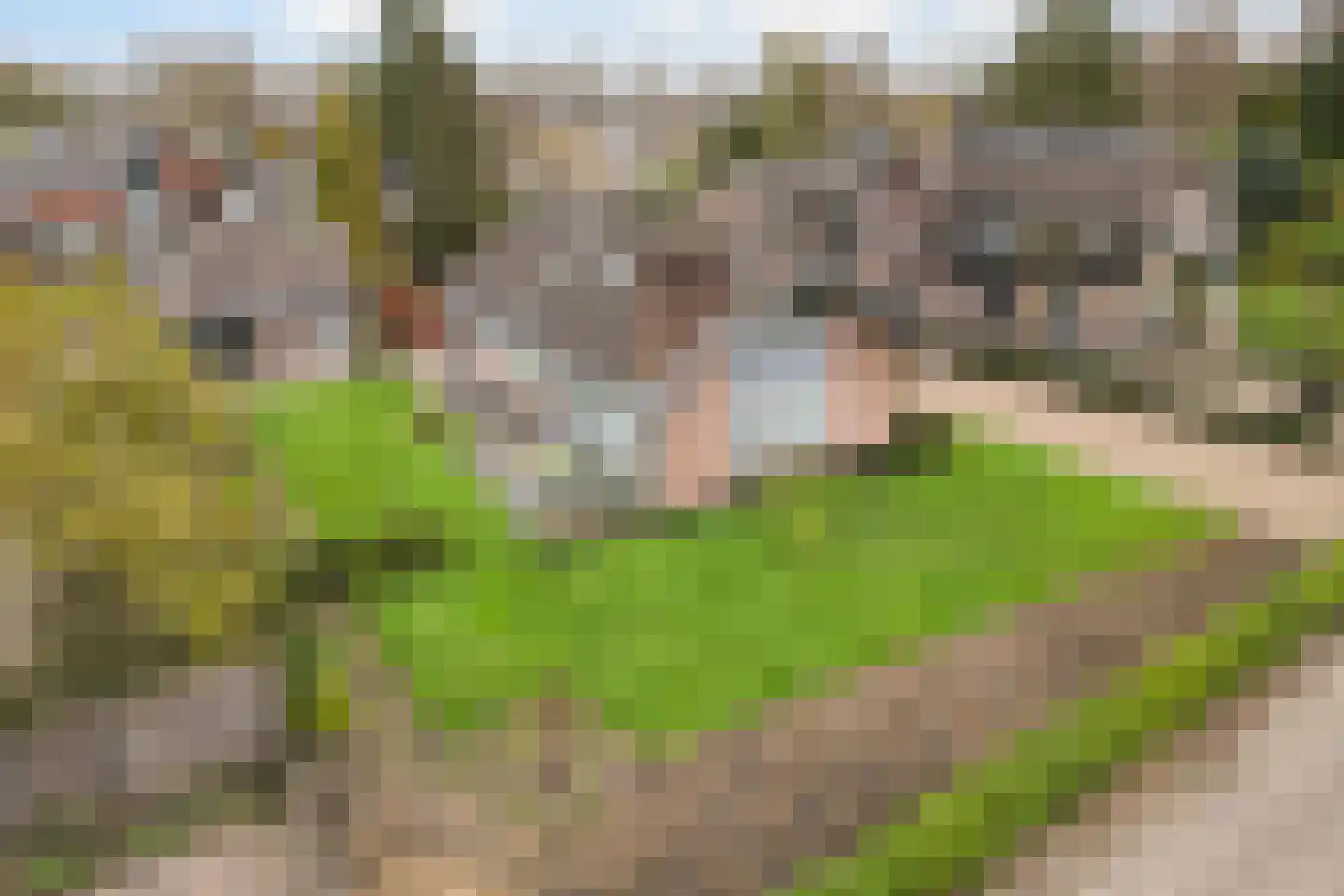 Zeisterweg 4 Woudenberg thumbnail 5