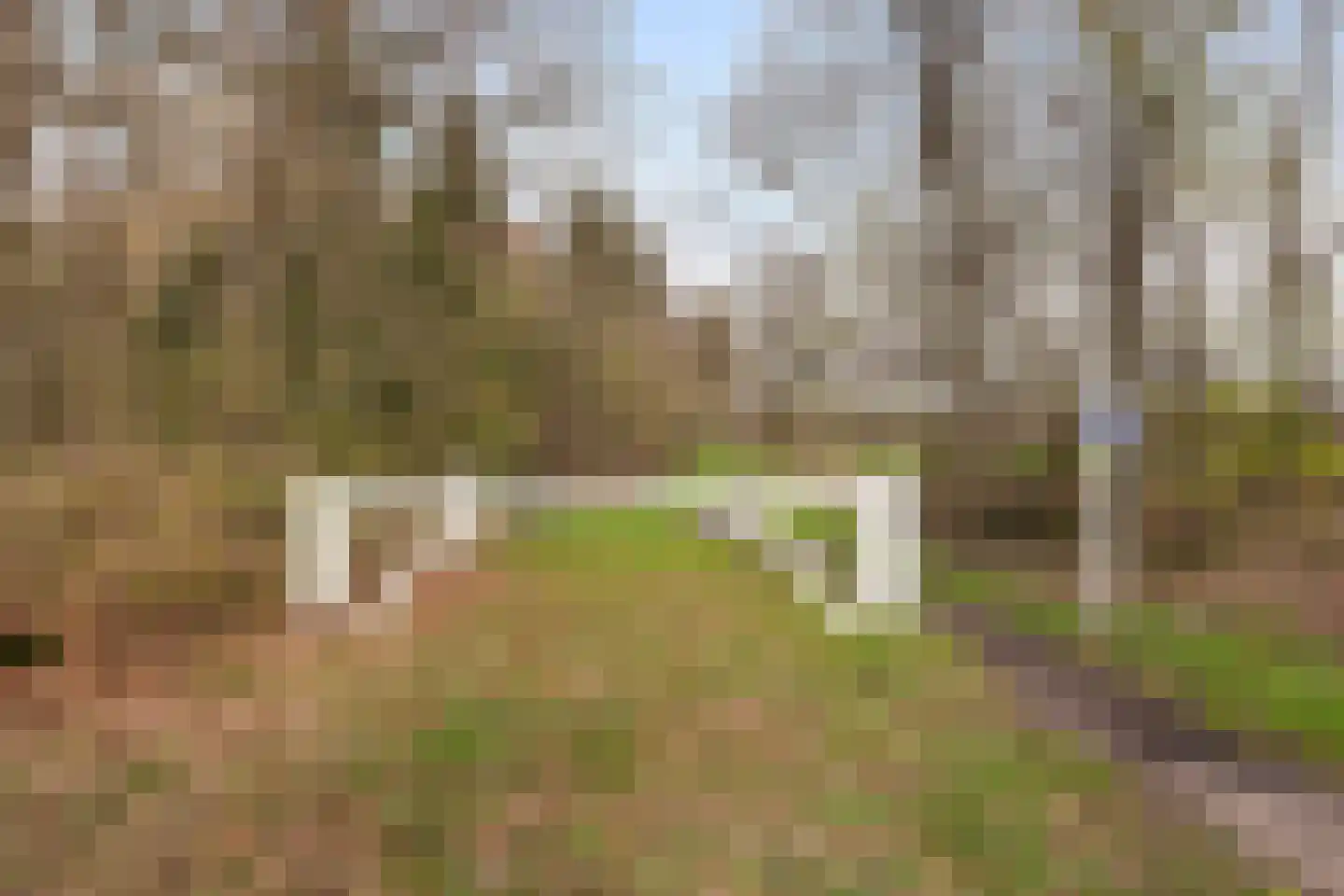 Zeisterweg 4 Woudenberg thumbnail 50