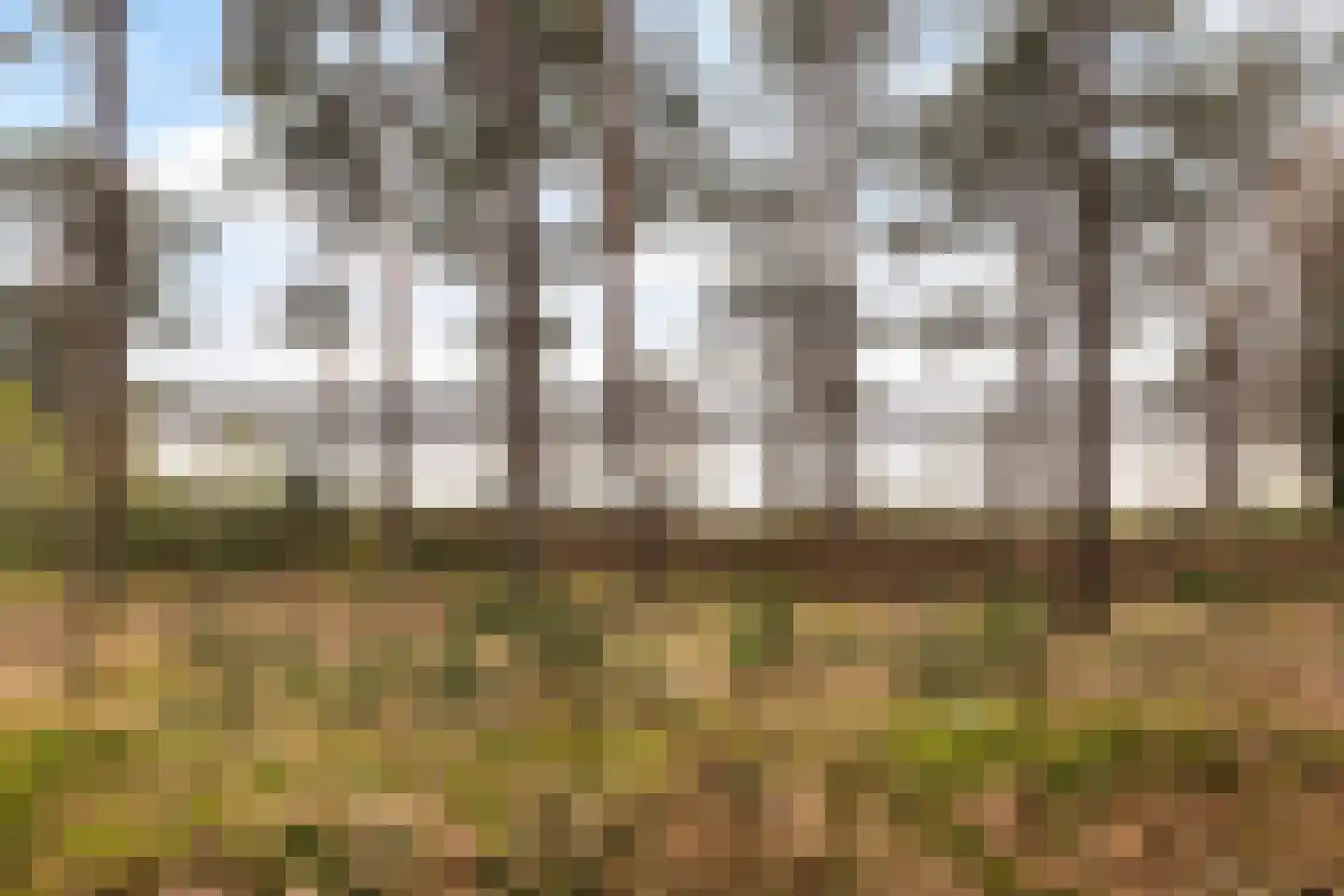 Zeisterweg 4 Woudenberg thumbnail 51
