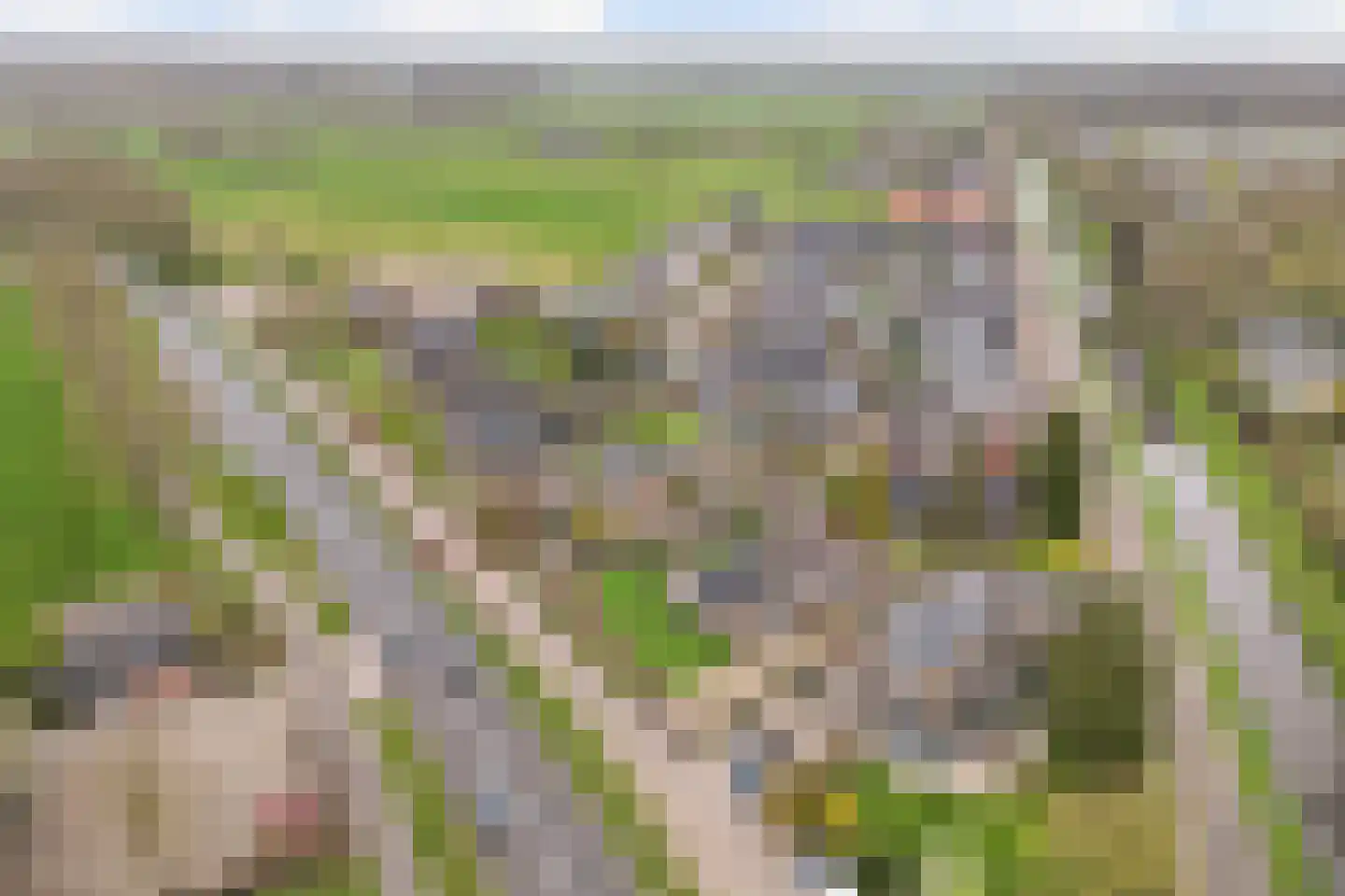 Zeisterweg 4 Woudenberg thumbnail 6
