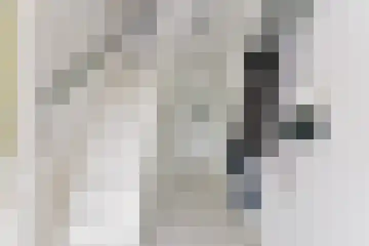 Zeisterweg 75 Odijk thumbnail 11