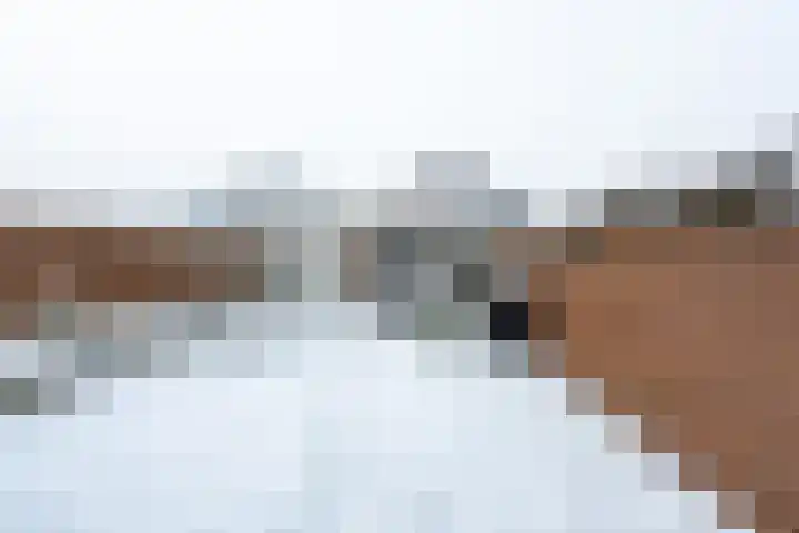 Zeisterweg 75 Odijk thumbnail 25