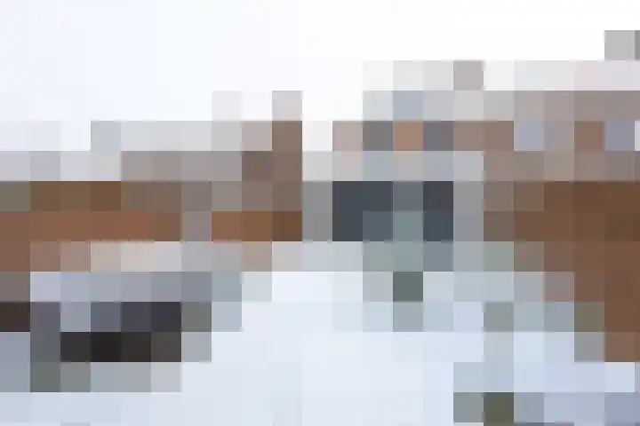 Zeisterweg 75 Odijk thumbnail 28