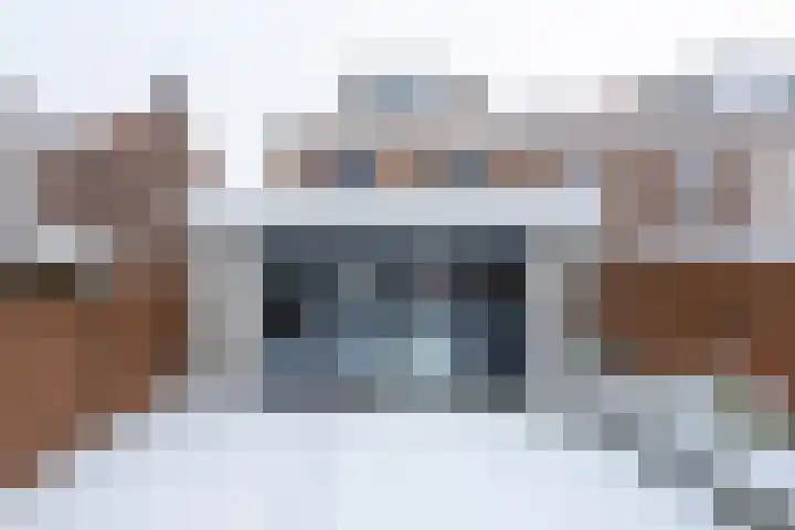 Zeisterweg 75 Odijk thumbnail 29