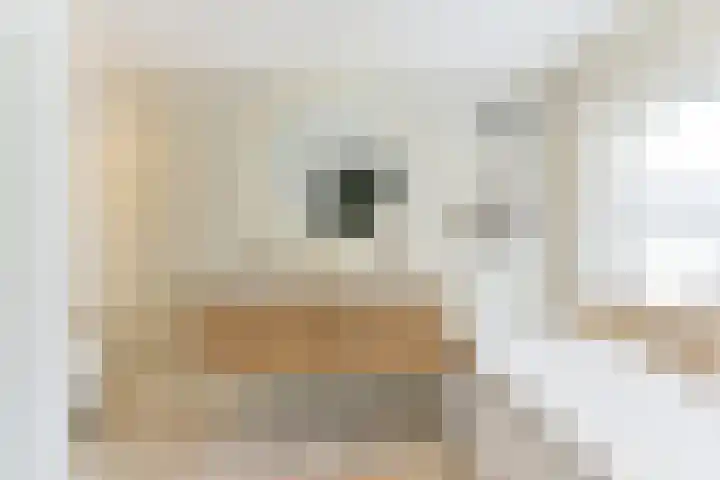 Zeisterweg 75 Odijk thumbnail 38
