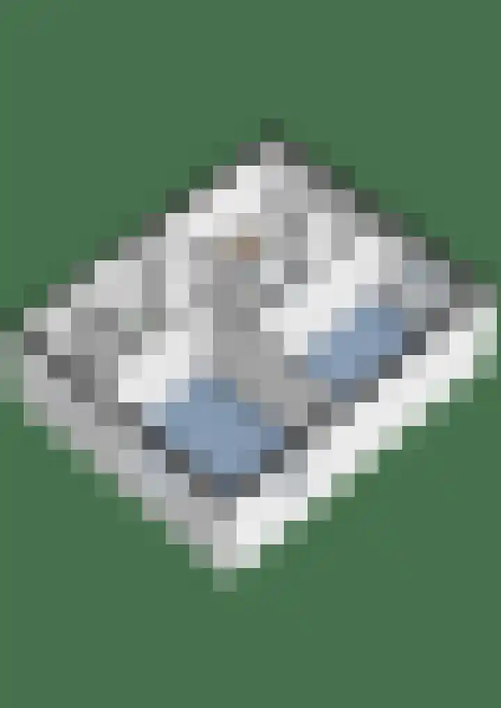 Zeisterweg 75 Odijk thumbnail 51