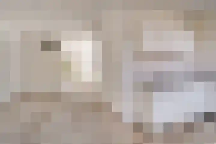 Zeistpad 13 Almere thumbnail 15