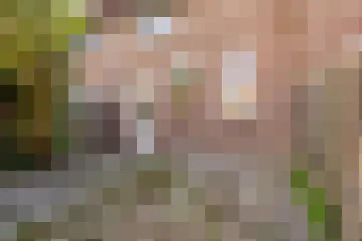 Zeistpad 13 Almere thumbnail 33
