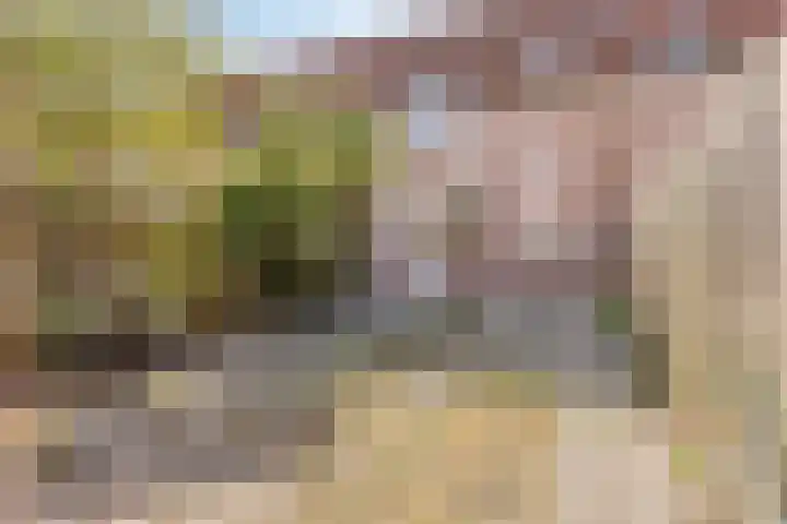 Zeistpad 13 Almere thumbnail 35