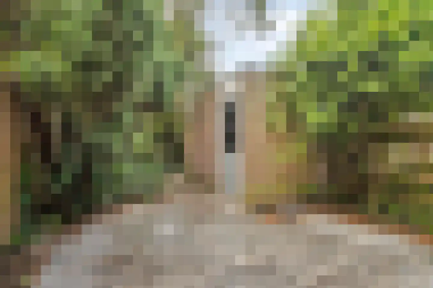 Zeistpad 42 Almere thumbnail 25