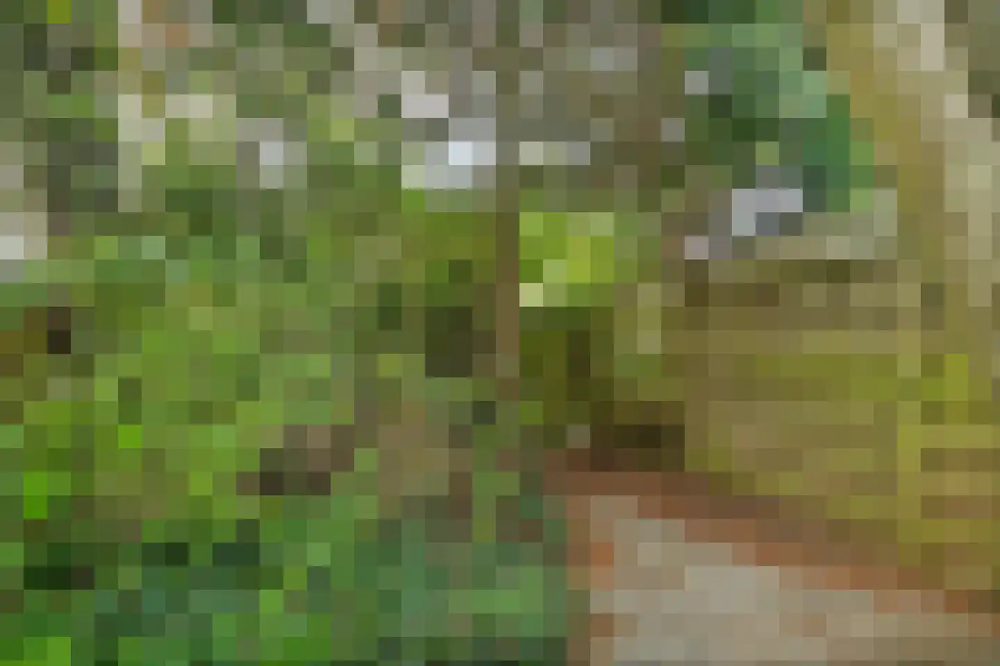 Zeistpad 42 Almere thumbnail 27