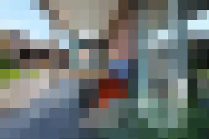 Zeisum 5 Hooglanderveen thumbnail 10