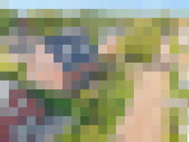 Zeisum 5 Hooglanderveen thumbnail 12