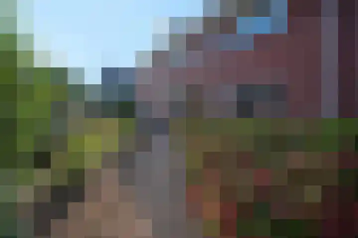 Zeisum 5 Hooglanderveen thumbnail 13