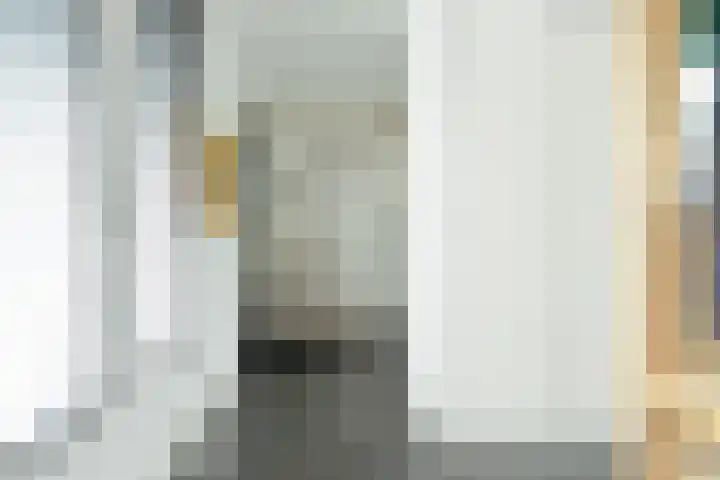 Zeisum 5 Hooglanderveen thumbnail 14