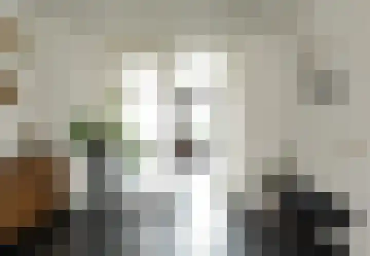 Zeisum 5 Hooglanderveen thumbnail 15