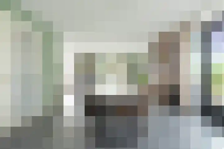 Zeisum 5 Hooglanderveen thumbnail 18